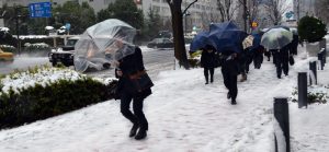 nevadas-japon